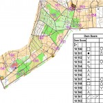 Dom Score export from Condes